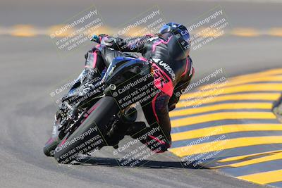 media/Oct-08-2022-SoCal Trackdays (Sat) [[1fc3beec89]]/Turn 11 Backside (1145am)/